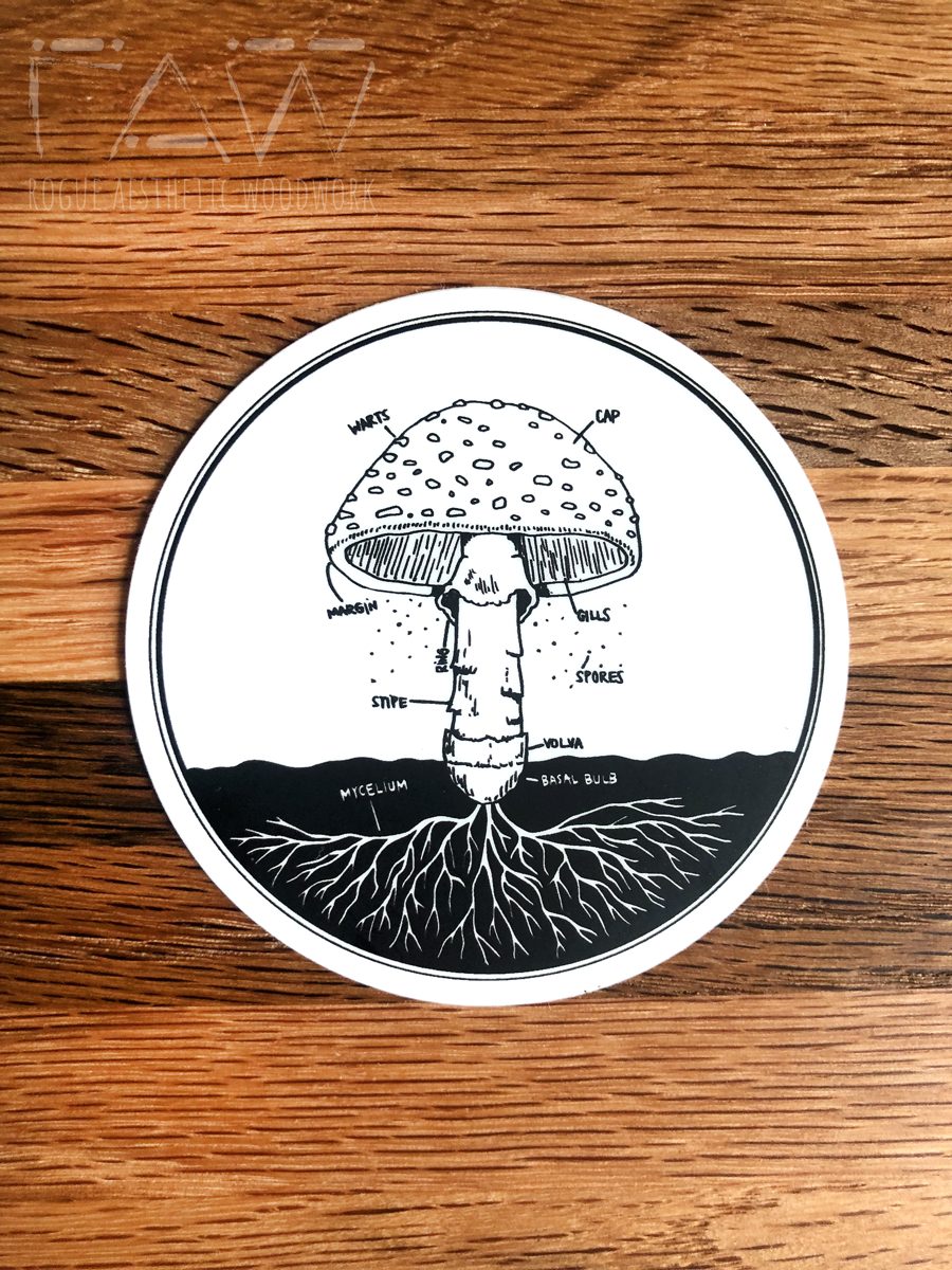 Amanita Anatomy Sticker