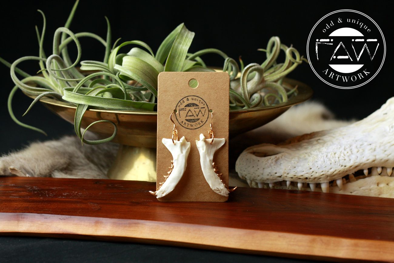Mink Jawbone Earrings